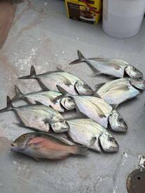 September fishing trip