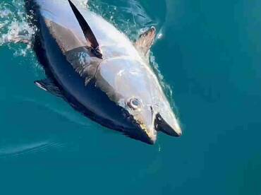 Traum Tag am Wasser!