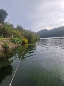 Nice afternoon fishing trip