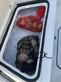 Great Experience - Will Be Booking Again!! 