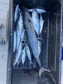 riley and jojo are the absolute best