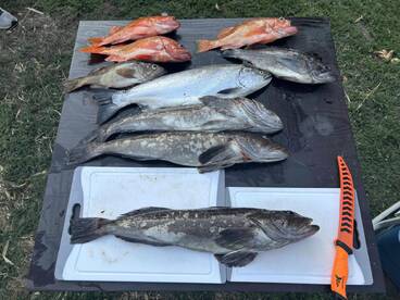 Great small charter feel