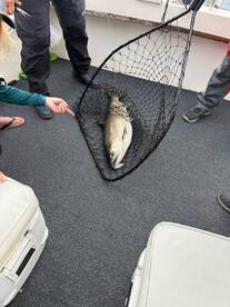 Outstanding Experience with Captain Dave and the Salmon Slayer Crew