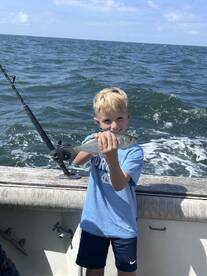 Understood the Situation 