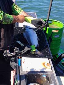 very patient and knowledgeable 