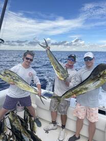 Awesome day limited on mahi 