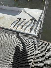 Second trip with TJ!