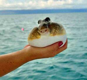 Amazing day with Captain Frank!