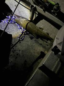 Great trip with Captain Ryan