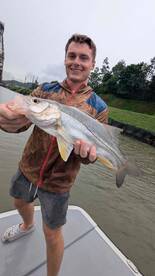 Exceeded all my expectations!