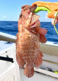 Great first trip in the area \ud83d\udc99