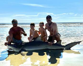 shark fishing