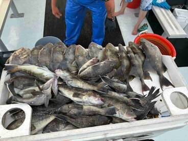 Best fishing trip ever!!!