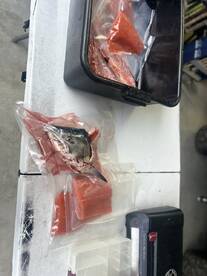 AWARD WINNING BEST CAPTAIN OF THE YEAR AWARD 