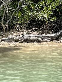 Professional with a great sense of humour