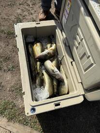 Your next charter is this one