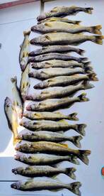 Nothing but the best \ud83d\udcaf\ud83c\udfa3