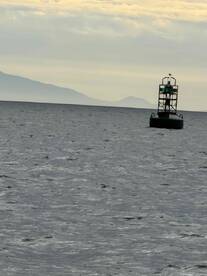 Caltian Ben Ly for the win