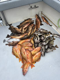 Captain Armstrong is the real deal!