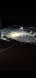 Great times, even greater fight!