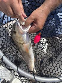 Spontaneous fishing trip