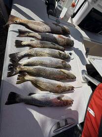 Spontaneous fishing trip