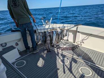 Great Fishing Experience 