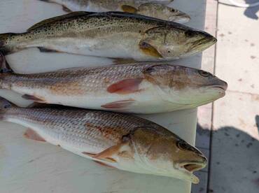 A true Captain who's crew comes first!