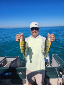 Halef day perch trip