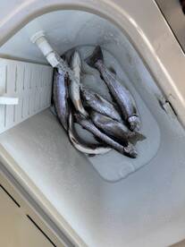 Quail Creek Reservoir