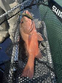 Legend of a Guide. awesome morning out!