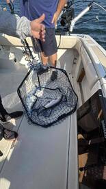 Mission accomplished!