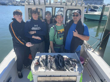 Great Experience for All