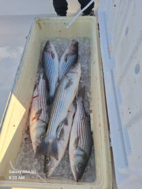 Fishing with Thomas Loch