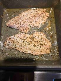 Great Captain and mate.