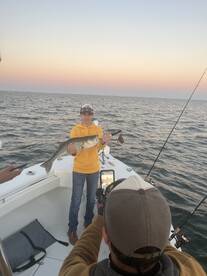 The BIG ones that DIDNT get away 