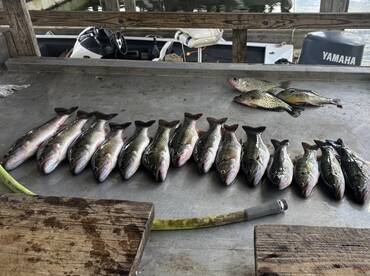 Fun times on Lake Ouachita!