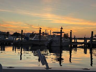 Terrific experience with Captain Brian and First Mate Logan 