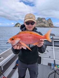 Succesful mixed species full day