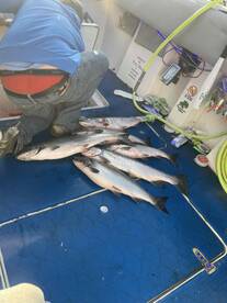 Birthday Fishing Trip - Caught our limit \ud83c\udf89\ud83d\udc1f