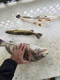 Professional and personable who is sure to deliver!