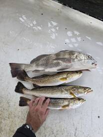 Professional and personable who is sure to deliver!