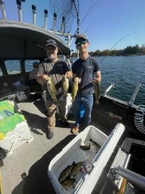 Hard Working Captain