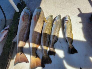 Second Trip with Capt. Steven 