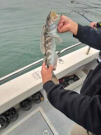 The best day fishing ever!