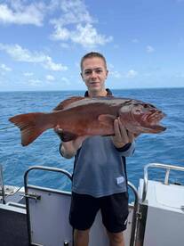 great crew know what there doing will be back for sure worth every dollar