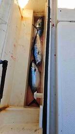 ะั ััะฑะฐัะธะปะธ ั ะดััะณะธะผ ะบะฐะฟะธัะฐะฝะพะผ