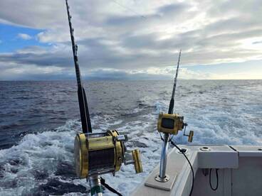 captain and first mate did it all