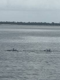 Trip to shell island Caption Chris 