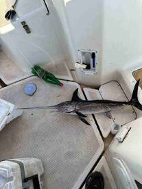 A wonderful fishing adventure